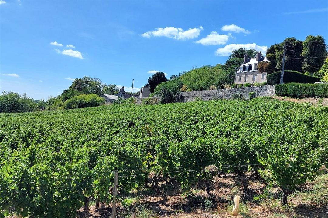 Le Cosy / Vieux Tours